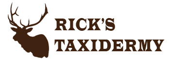 Rick's Taxidermy
